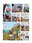 morepic-4