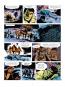 morepic-5