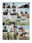 morepic-5