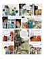 morepic-7