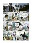 morepic-7