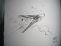 morepic-8