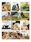 morepic-8
